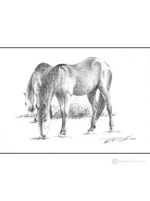CAVALLI Disegno con penna su tela moderno Made in Italy 