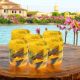 Set 6 bicchieri in vetro soffiato con intarsi realizzati in vetro fusione, autentico di Murano.
