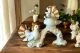 COLOMBE Decorazione da tavolo centrotavola ceramica artistica stile Barocco dettaglio oro 24k Made in Italy