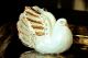 COLOMBE Decorazione da tavolo centrotavola ceramica artistica stile Barocco dettaglio oro 24k Made in Italy