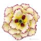 PAPAVERO – Fiore da appendere in porcellana di Capodimonte, fatto a mano, alta qualità