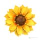 GIRASOLE – Fiore da appendere in porcellana di Capodimonte, fatto a mano, alta qualità