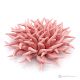 RICCIO ROSA – Centrotavola decorazione per tavolo, ceramica di Capodimonte pregiata, fatta a mano